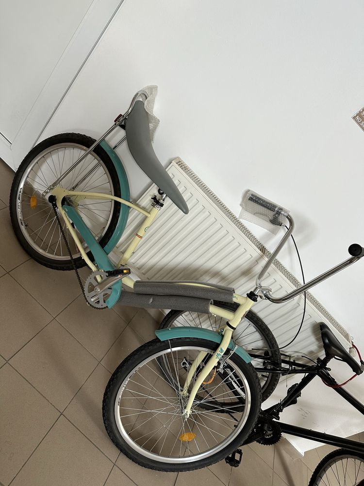 Bicicleta Pegas de dama