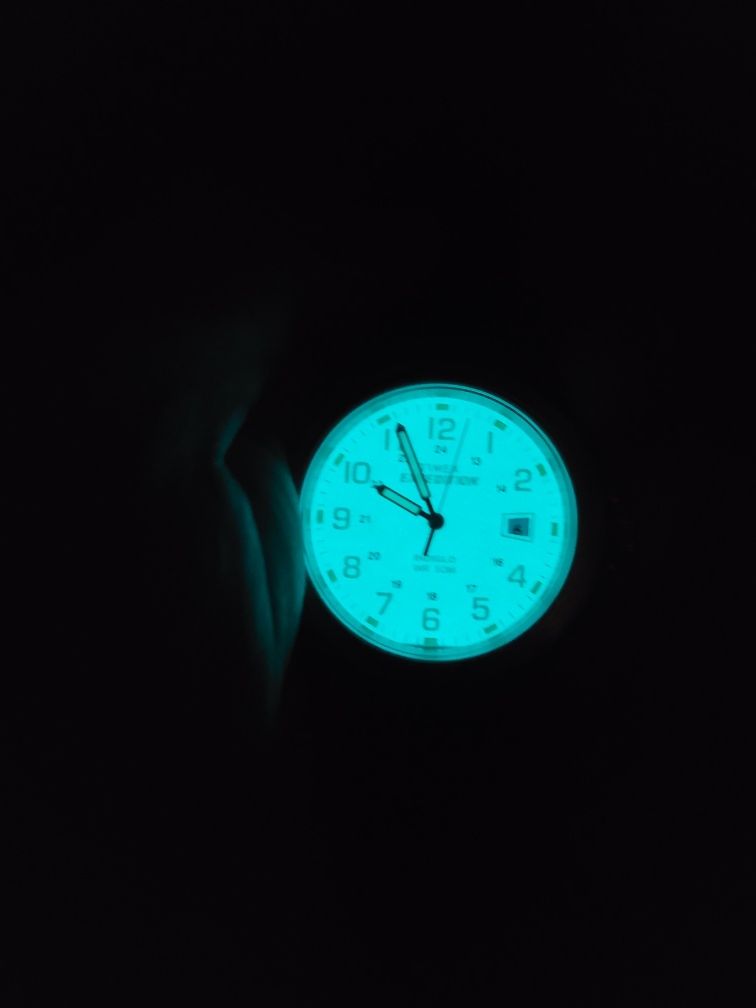 Timex Expedition