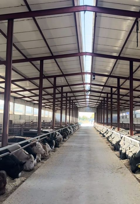 Vand structura metalica din stoc 10x20x4m 11x30x4m 14mx25mx4m