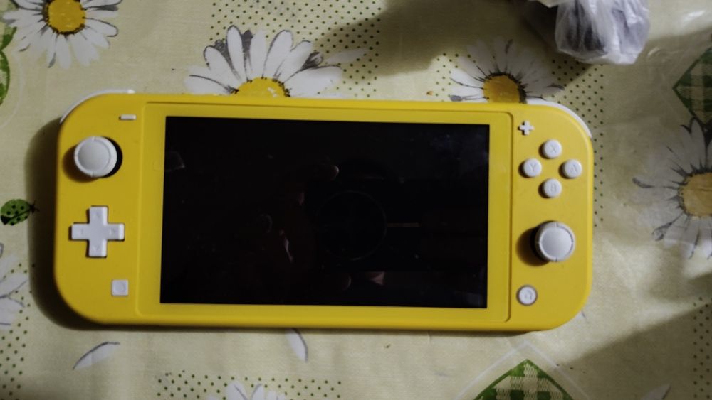 Nintendo switch lite
