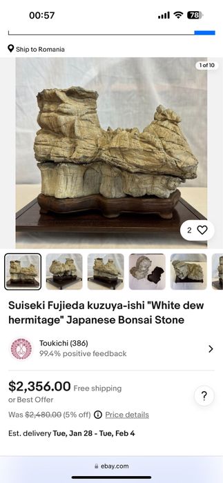 Bonsai japonez piatra antica, Suiseki. Japan. Decor, staueta.