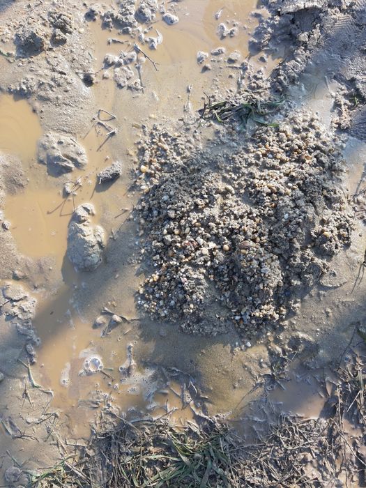 Foraje Puturi apa si denisipari