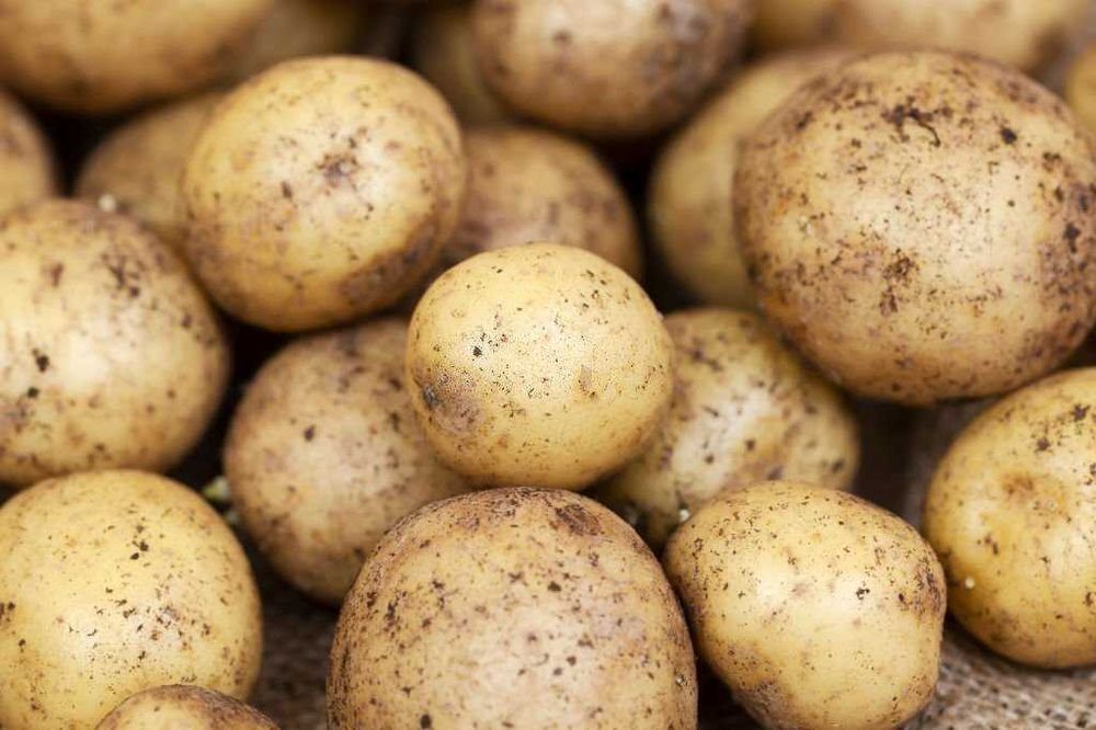 Продам картофель