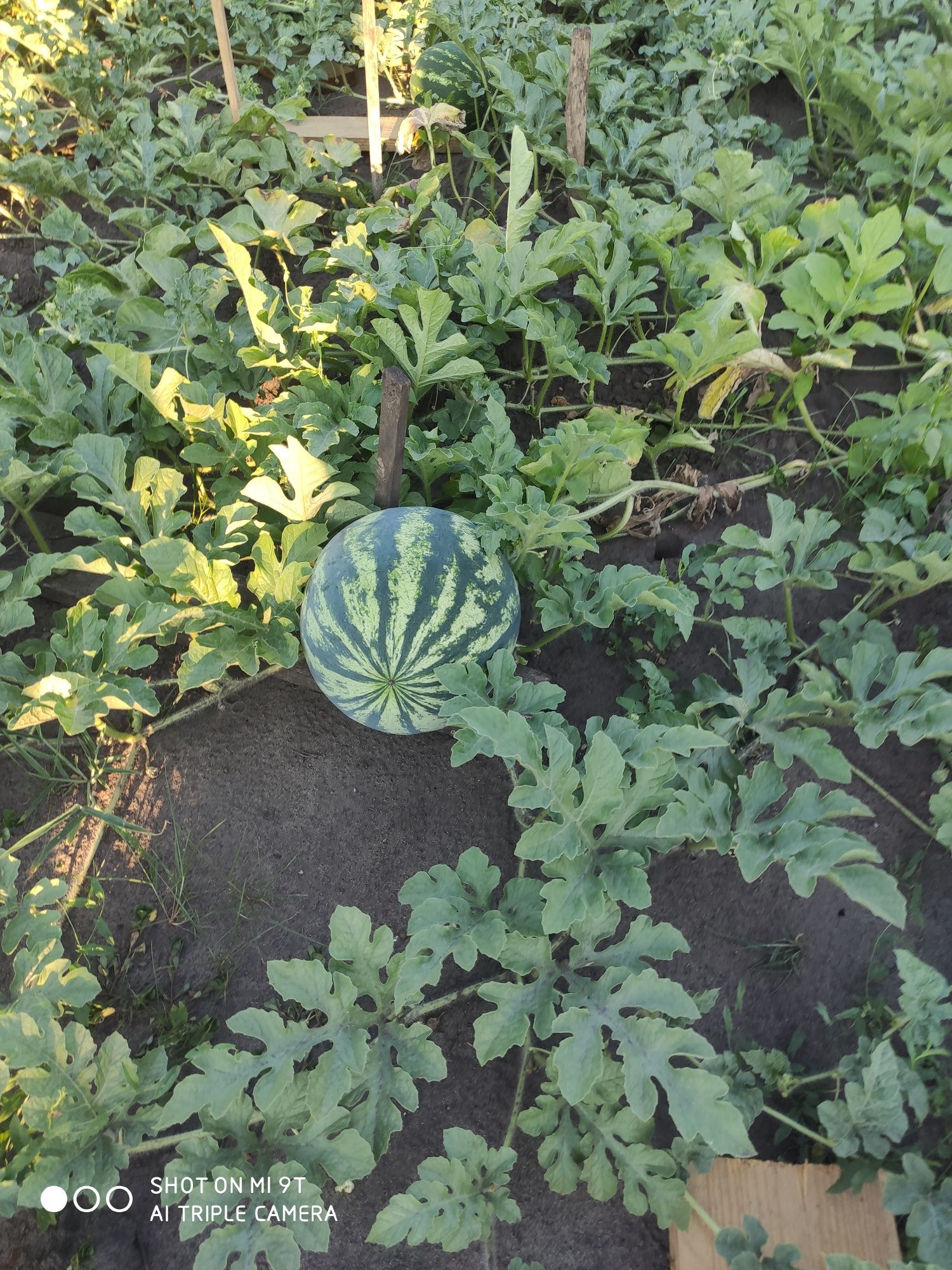 Продам дом россия