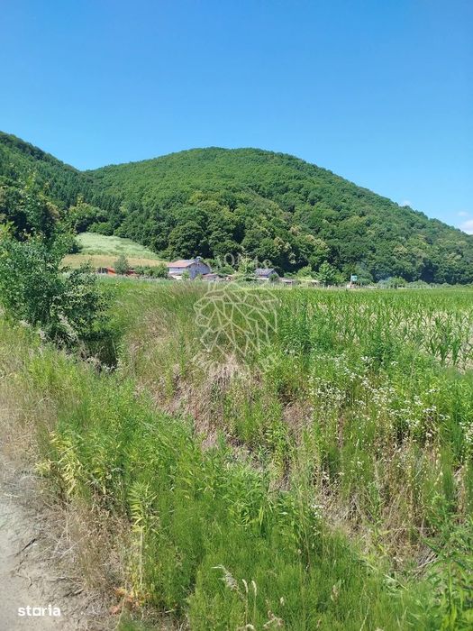 Teren 2500 mp-ideal casa, agricultura, investitie-Saratel