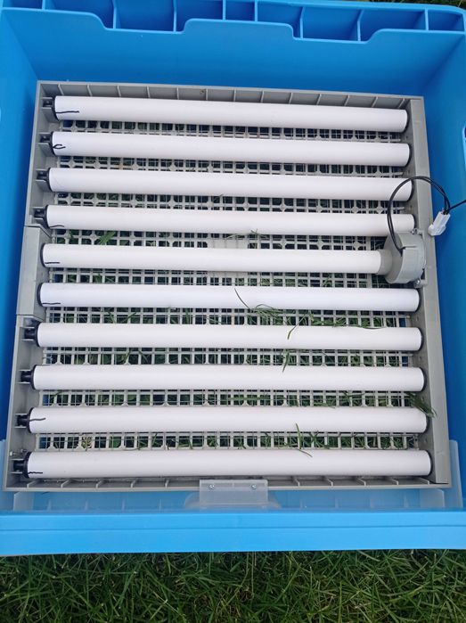 Incubator de ouă de vânzare
