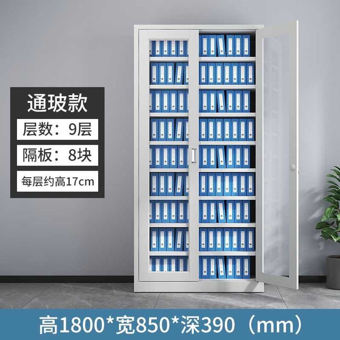 temir office shkaf | ofis hujjat shkafi | стальной офисный шкаф