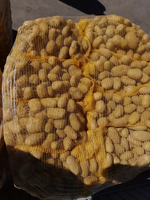 Vând cartofi alb rosu și ceapa