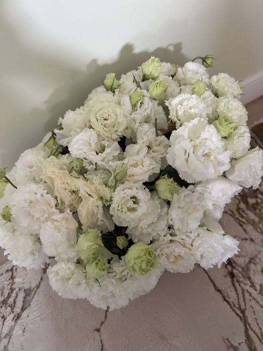 Продается цветы, эустоны новый