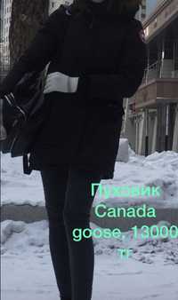 Куртка зимняя, черная canada goose