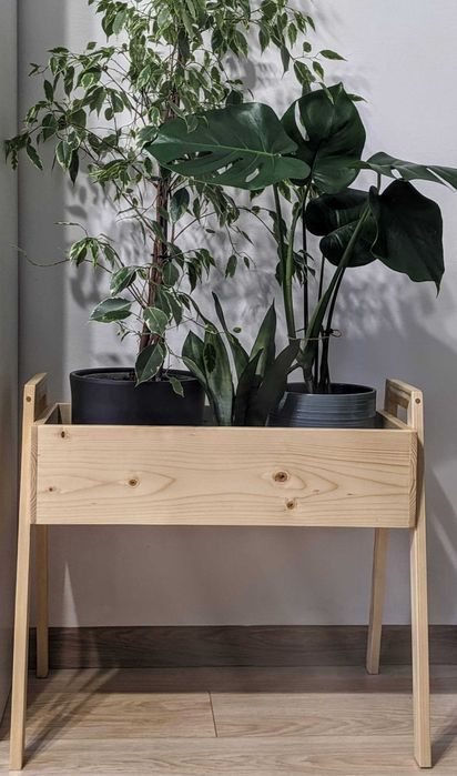 Cutii și Jardiniere din Lemn Masiv