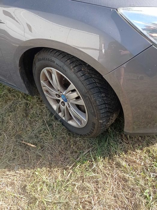 Ford Focus Ecobuster