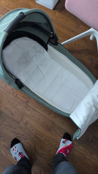 Landou Cybex Priam Platinum Leaf Green