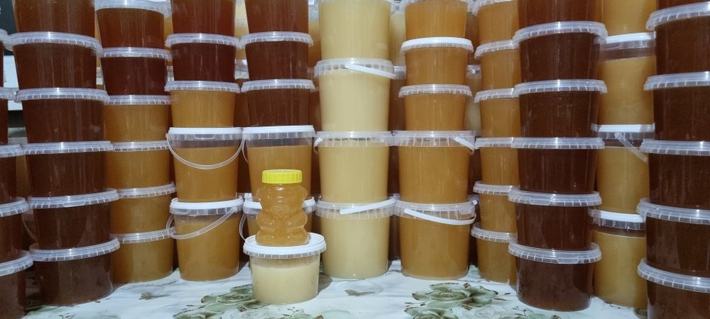 Натуральный мед со своей пасике