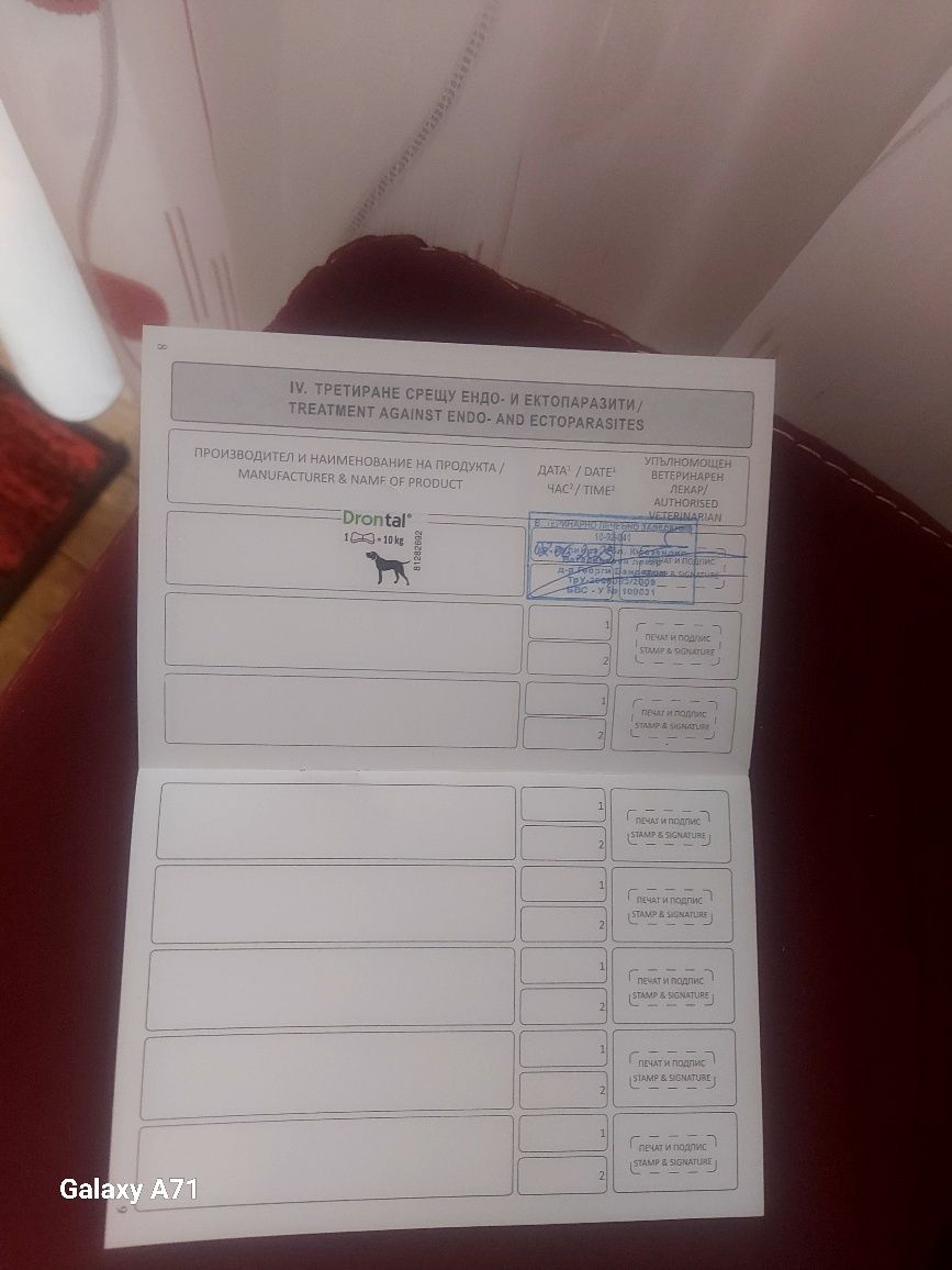 Продавам Кане Корсо Италяно