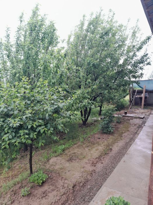 Uchaska Sotiladi Uy Parkent Kumushkon Raytaxt 15 Sotiq