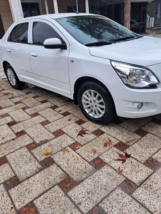 Pazitsiya 2 yili 2018