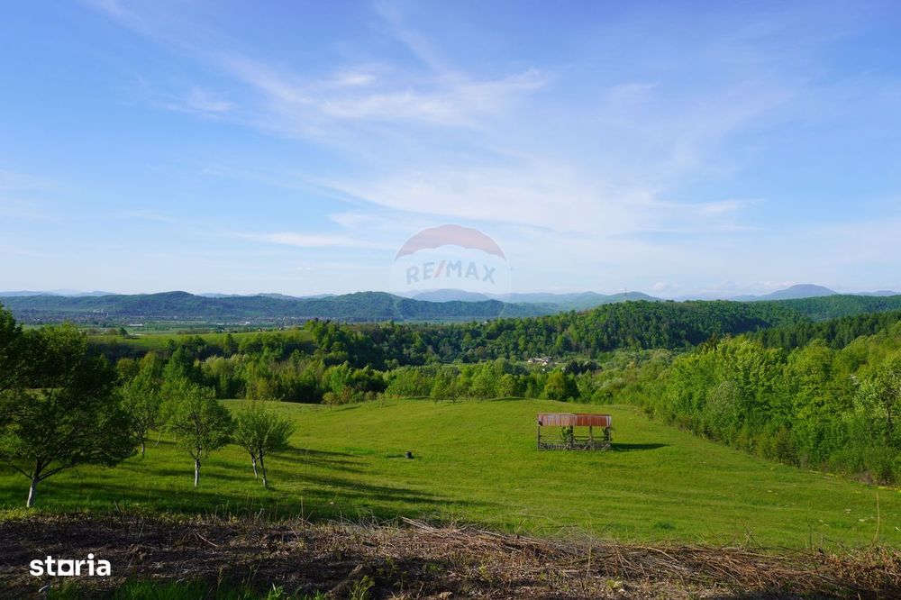 Teren 15,000mp Sighetu Marmatiei / Strada Mocăniței