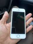 Iphone 5se sotiladi
