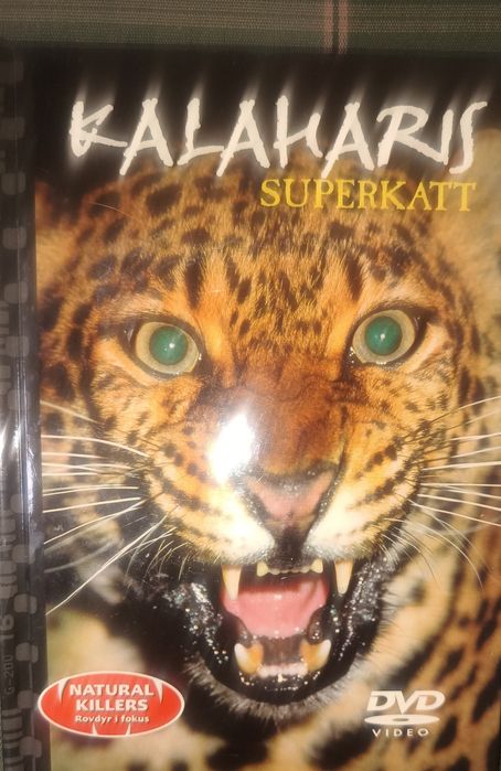 Нови DVD дискове