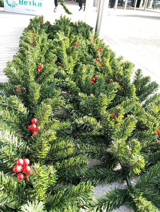 Ёлочная Ветка Хвойная Ветка