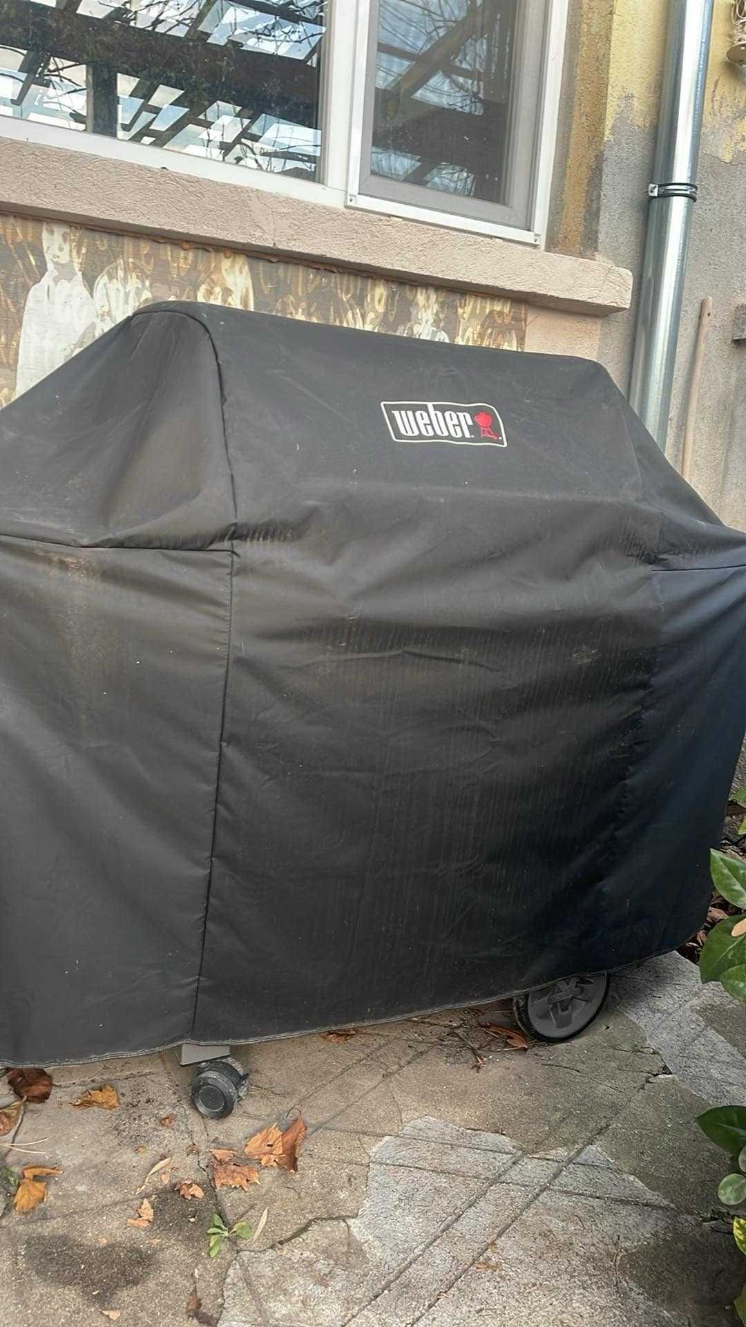 барбекю weber genesis 2