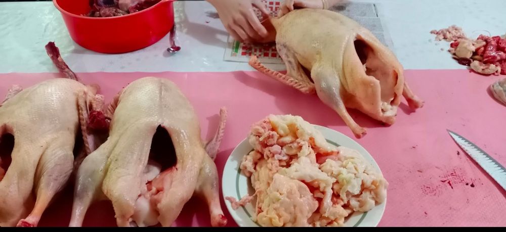 Гусиный жир, не топленый. Свежий.