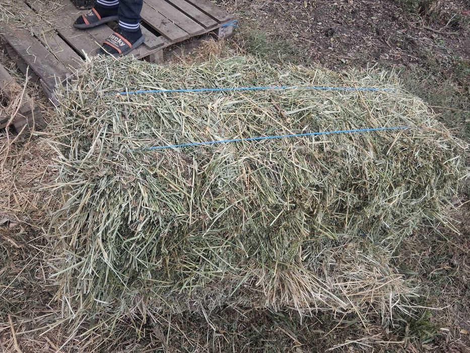 Vand baloti de lucerna