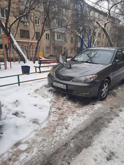Обучаю вождению, по городу.