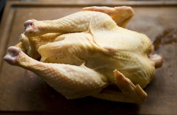 Домашние Петушки Уй хурозлари