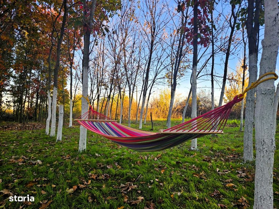 Închiriez gradina urbana pentru recreere in Cartierul Pădurea Băneasa