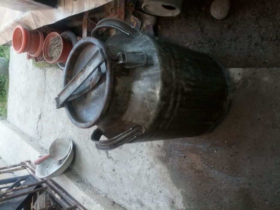 Алумнвая Кандистра