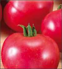 50 Seminte de Tomate Bacuni - Soi romanesc cu seminte putine