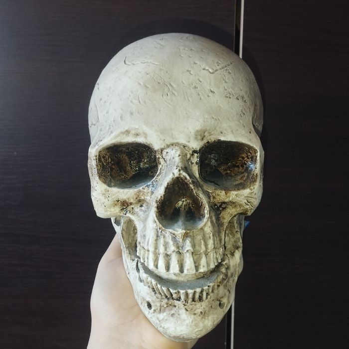 Vând cranii decorative