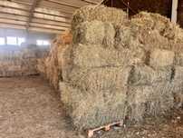 Baloți lucerna pret negociabil in functie de cantitate