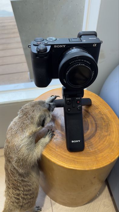 Sony блютуз монопод