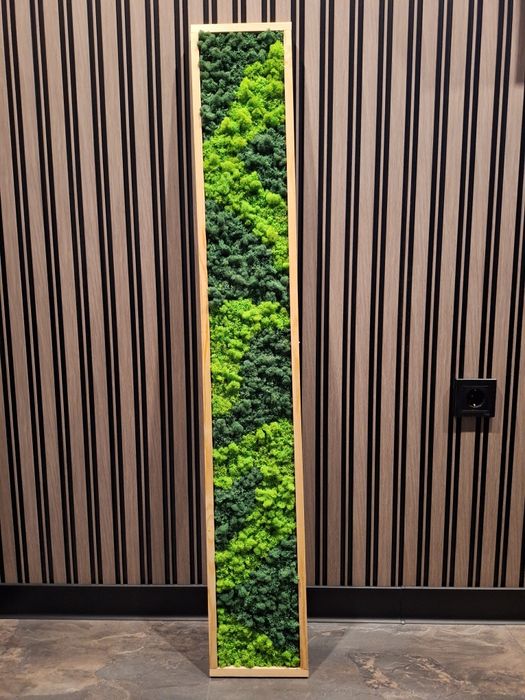 Декоративни пана със Скандинавски мъх