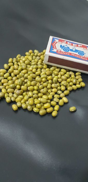 МАШ высшего сорта