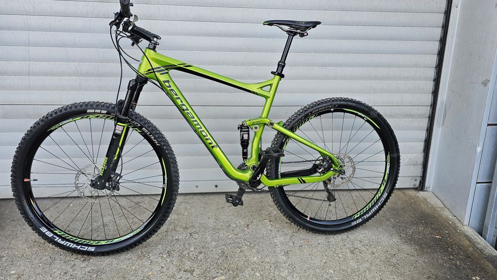 29цола карбонов bergamont