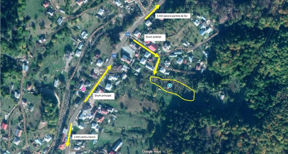 Teren in Cavnic | Ideal pensiune | Zona linistita langa padure