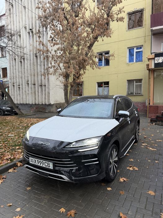 Byd champion Gibrit eng fuli