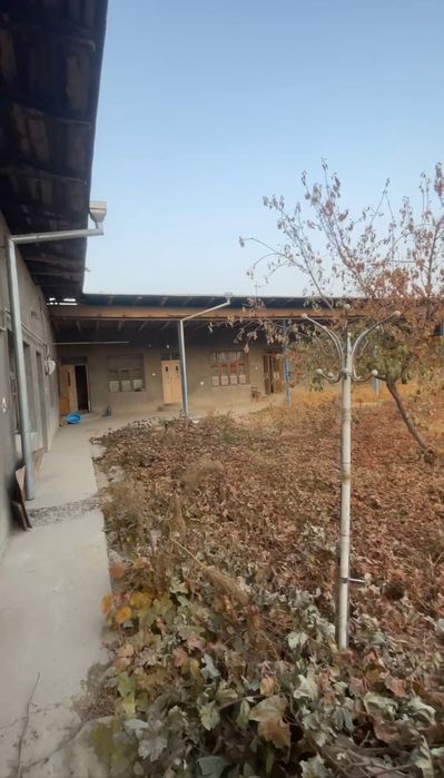 Toshkent tumani toshmi posti OLTIN TEPA