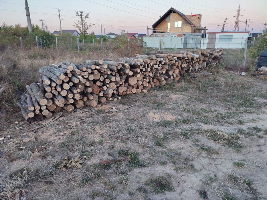 Lemne in Pitești