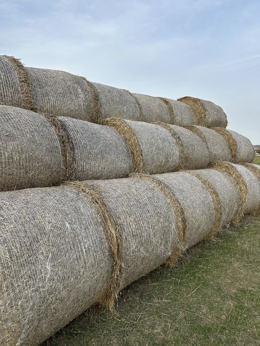 Baloti de paie.