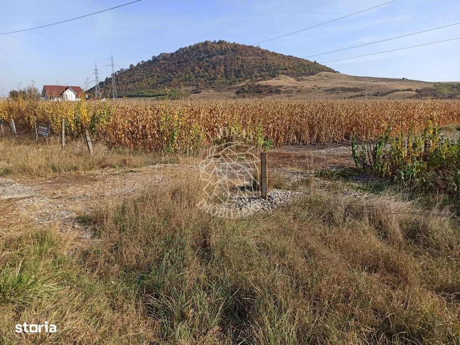 Parcele intre 770 mp si 4606 mp-ideal investitie-Sarata