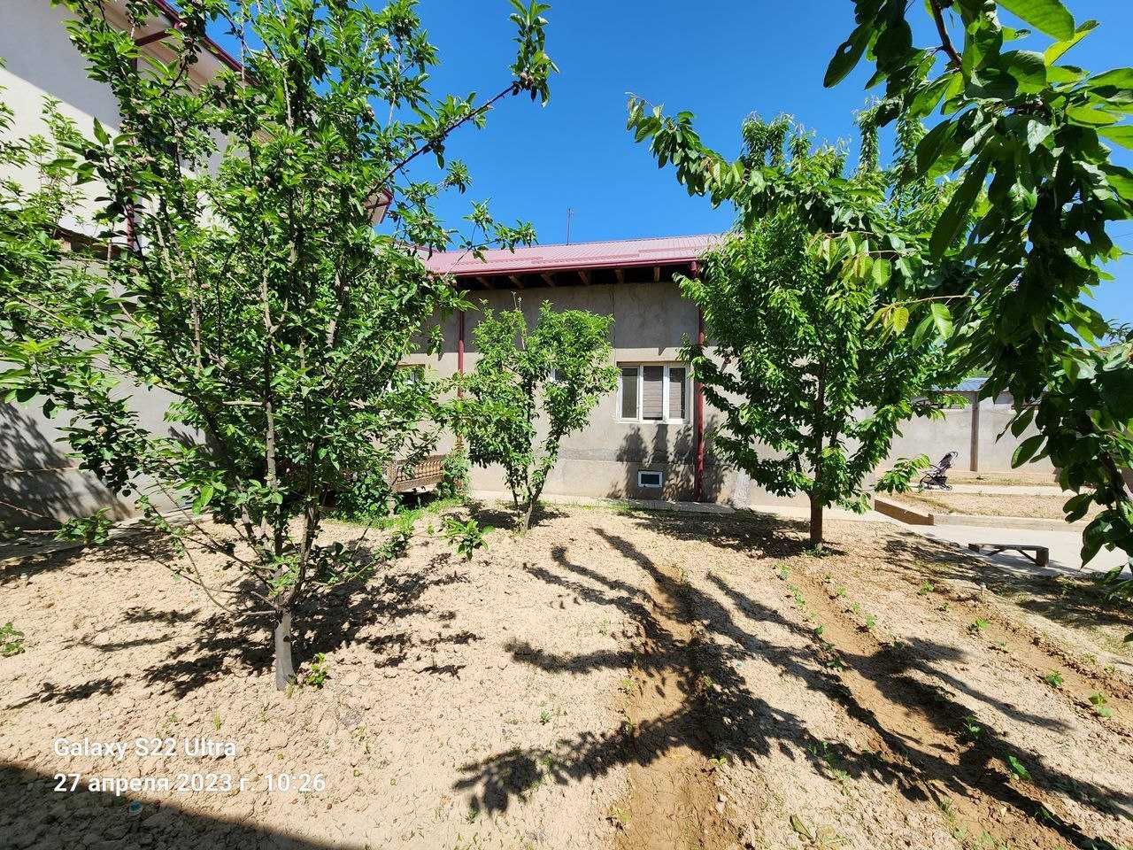 Продается дом (корзинка Авиатор)/Ҳовли сотилади (Корзинка Авиатор)