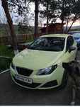 Seat Ibiza an 2010
