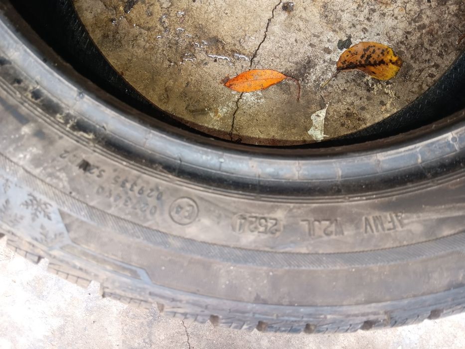 Cauciucuri iarna 195 50 r 15