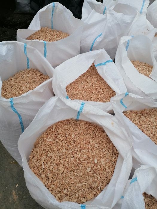 Rumeguș de fag uscat ptr afumat