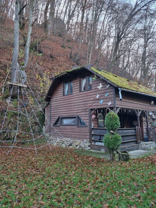 Cabana de închiriat de revelion